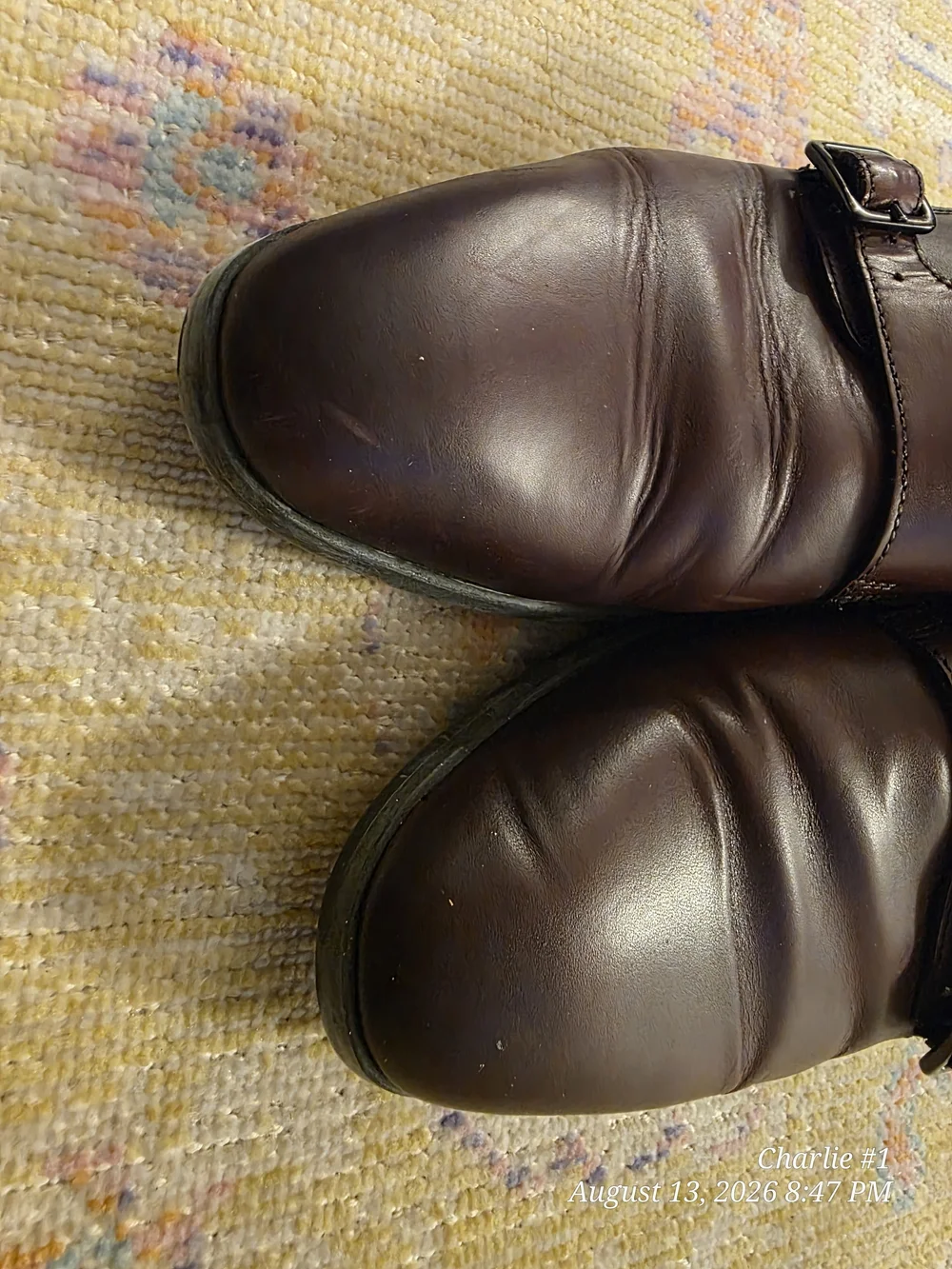 Bruno Magli oxblood leather double-monk strap Shoes